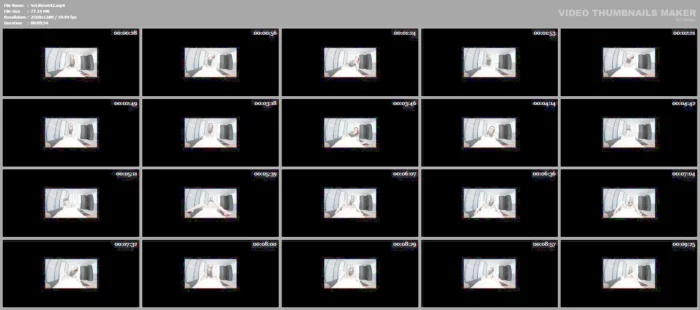 Locked Cock Chronicles - Volume 4 - Jae Lynn - SEXLIKEREAL - MP4