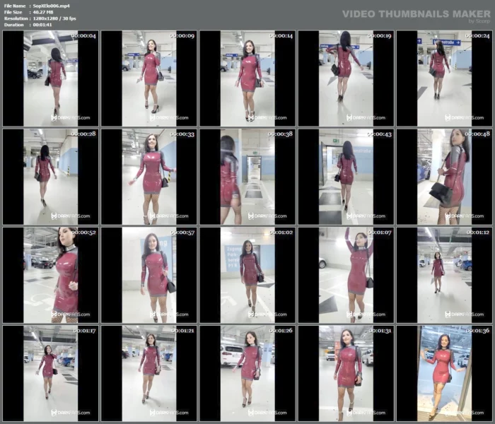 On The Way To The Restaurant In A Latex Dress - SOPHIE ELODIE / SOPHIE MARTIN - MP4
