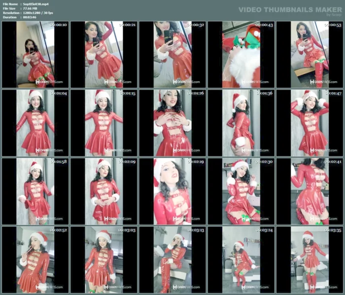 I Wish You A Wonderful Christmas - SOPHIE ELODIE / SOPHIE MARTIN - MP4