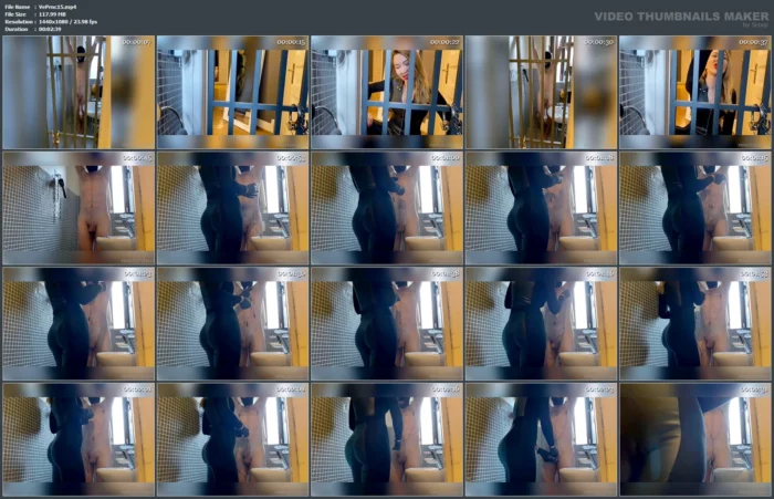 Did You Know That I Have Un Prison Cell At My Donjon? - MISTRESS PRINCESS VENUS ELEGANT GODDESS - MP4