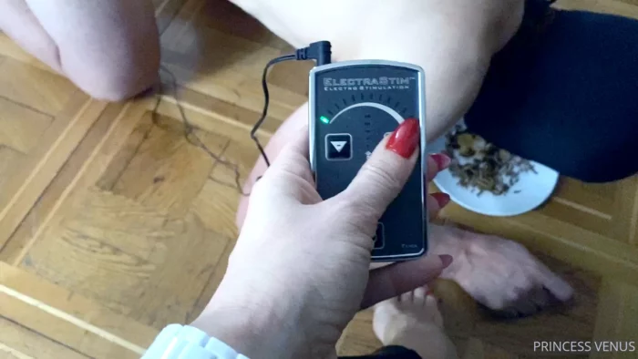 This Bitch Enjoys So Much His Anal Hook - MISTRESS PRINCESS VENUS ELEGANT GODDESS - MP4