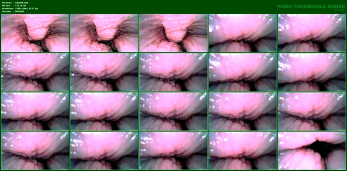 Bts Insideout Pussy Giggles - ADULTING X - SOFIE - MP4