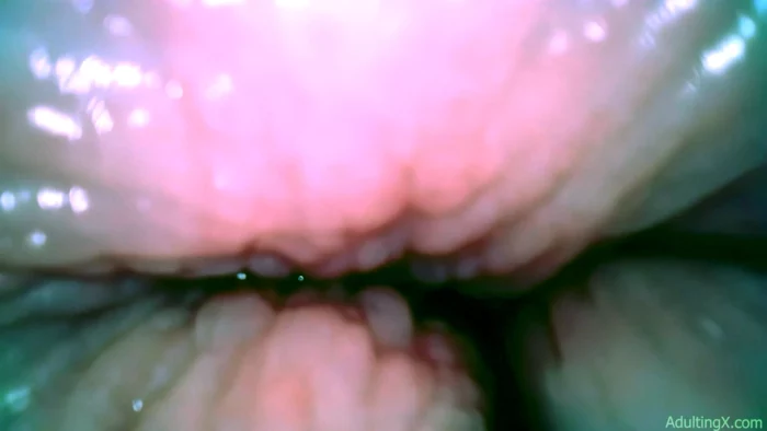 Bts Insideout Pussy Giggles - ADULTING X - SOFIE - MP4