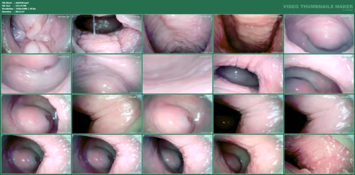 Mesmerizing Immersion, Pulsing Cervix - ADULTING X - SOFIE - MP4