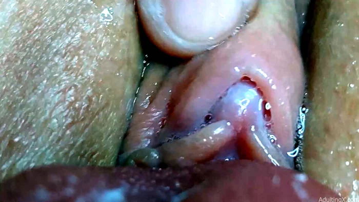 POV Lick Pussy Closeup - ADULTING X - SOFIE - MP4