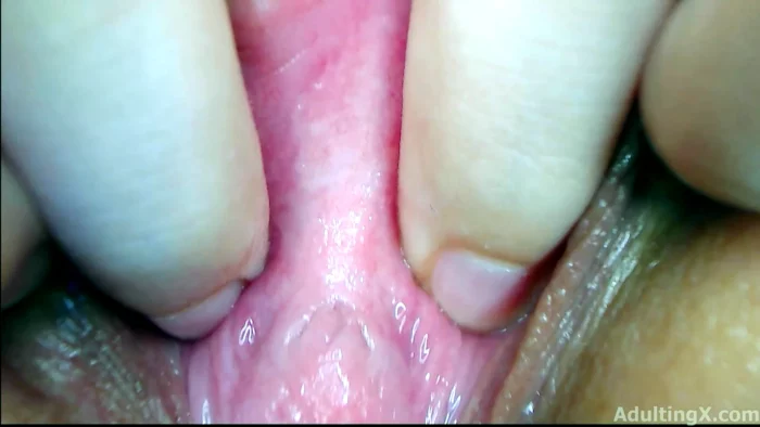 Pussy Tour - This Video Started It All - ADULTING X - SOFIE - MP4