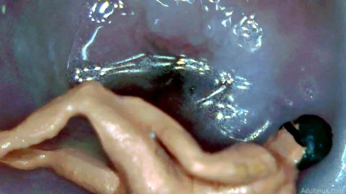 Raw Tiny On Cervix Masturbating - ADULTING X - SOFIE - MP4