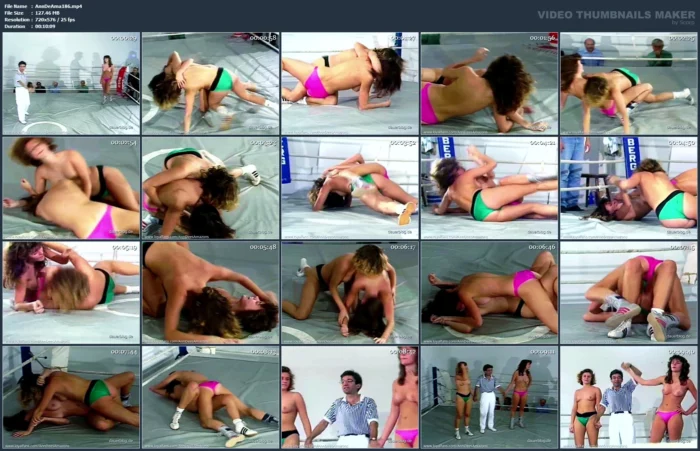 Topless Freestyle Fight Between The Slim Beate And Andrea On A Lower Level - ANNDEES AMAZONS - MP4