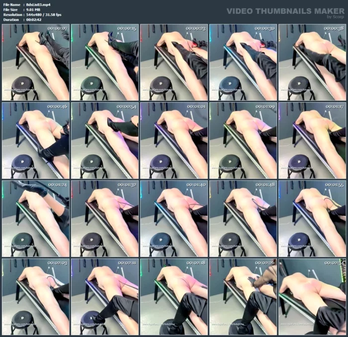 A Little Bit Of Whipping For The Slave - BDSM LISA / DOMINATRIX LISA / FETISHLATEX LISA - MP4