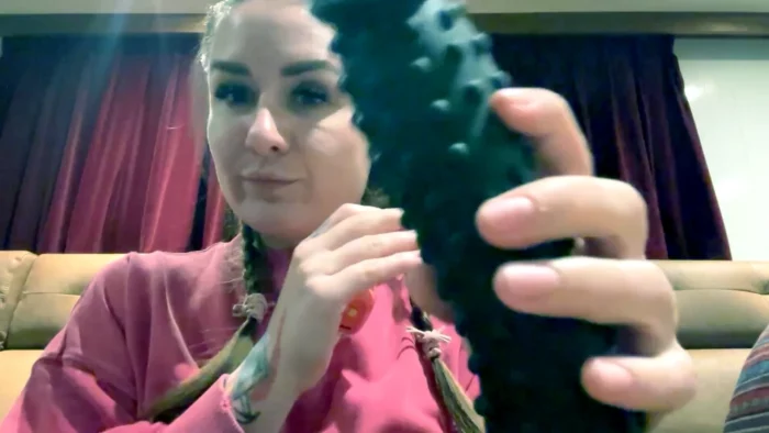 Mean SPH! - CRUEL REELL - MP4