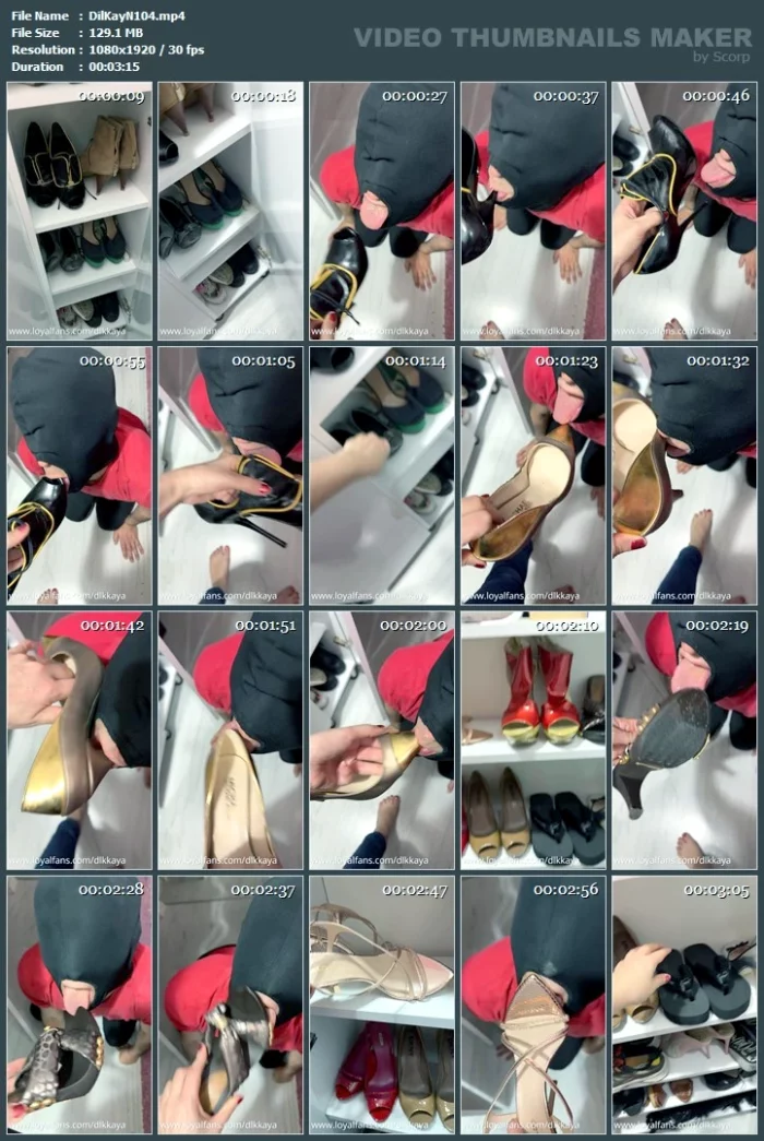 I Had My Dog Clean My Shoe Cabinet - GODDESS DLKKAYA / DILEK KAYA - MP4