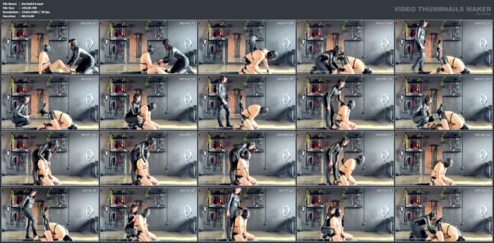 CBT Ballbusting - DOMME CLAIRE - MP4