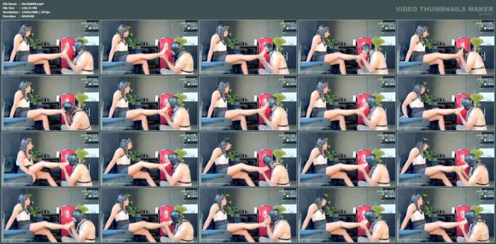 Foot Worship - My Obedient Pet Worships My Feet - DOMME CLAIRE - MP4