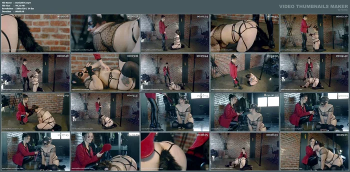 Kitten Play Part 3 Praise And Edging Play - DOMME CLAIRE - MP4