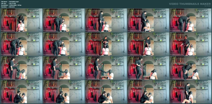 Mouth Play & Strap Worship - DOMME CLAIRE - MP4