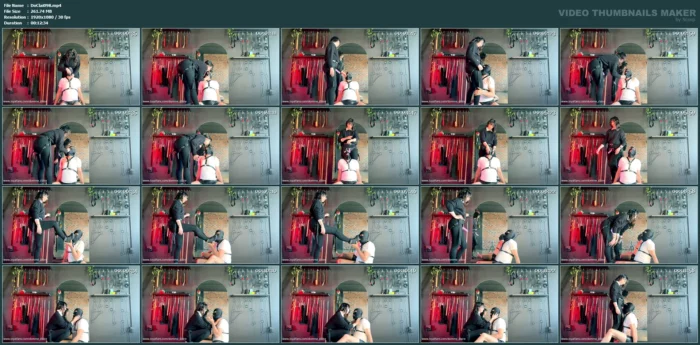 Mouth Play, Strap Worship, Spitting - Look How Well He Takes It - DOMME CLAIRE - MP4