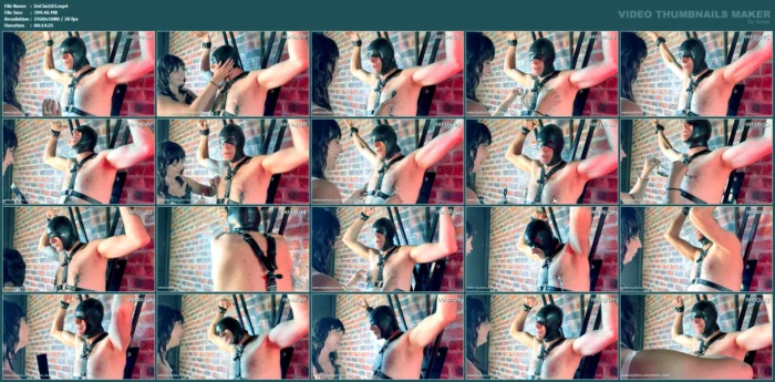 Nipple Play & Torture - DOMME CLAIRE - MP4
