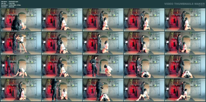 Position Training - His Punishment Being Impact Play And Reward Being Strap Worship - DOMME CLAIRE - MP4
