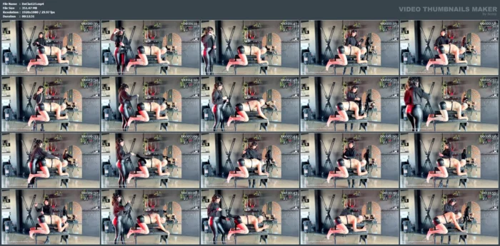 Sensation Play And Flogging - DOMME CLAIRE - MP4