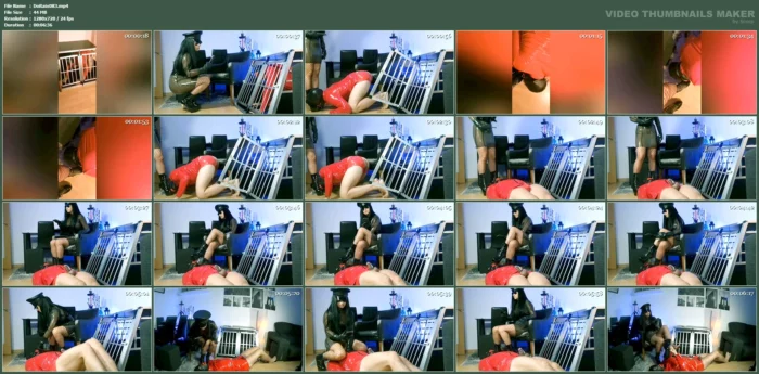 Shall I Let You Out Of Your Cage Today To Have Some Fun? - DOMINA RAIXEL - MP4