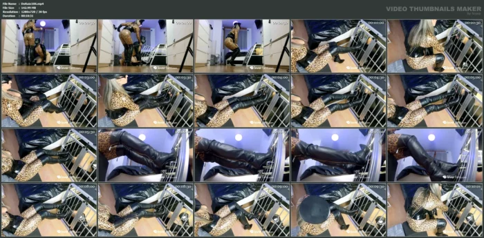You're Nothing More Than A Pathetic, Boot-Licking Dog - DOMINA RAIXEL - MP4