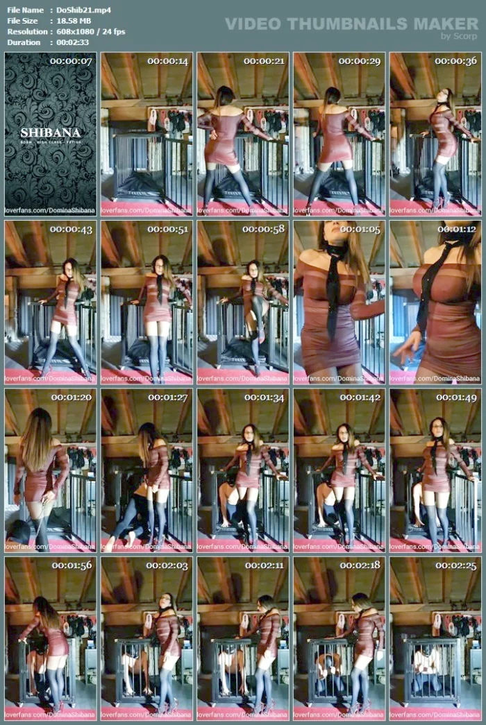 Internment - DOMINA SHIBANA - MP4