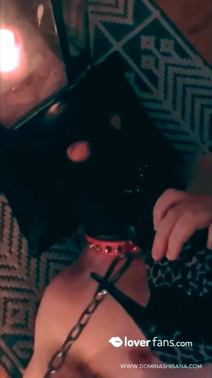 My Feet In Your Mouth - DOMINA SHIBANA - MP4