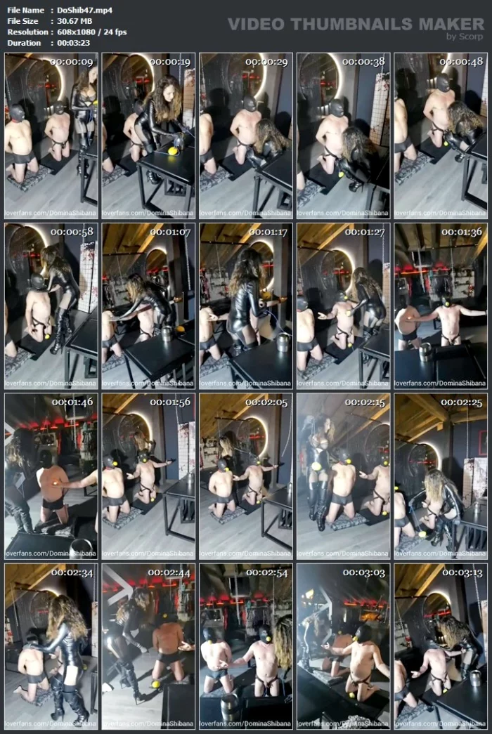 The Theft Of The Lemons Part 2 - DOMINA SHIBANA - MP4