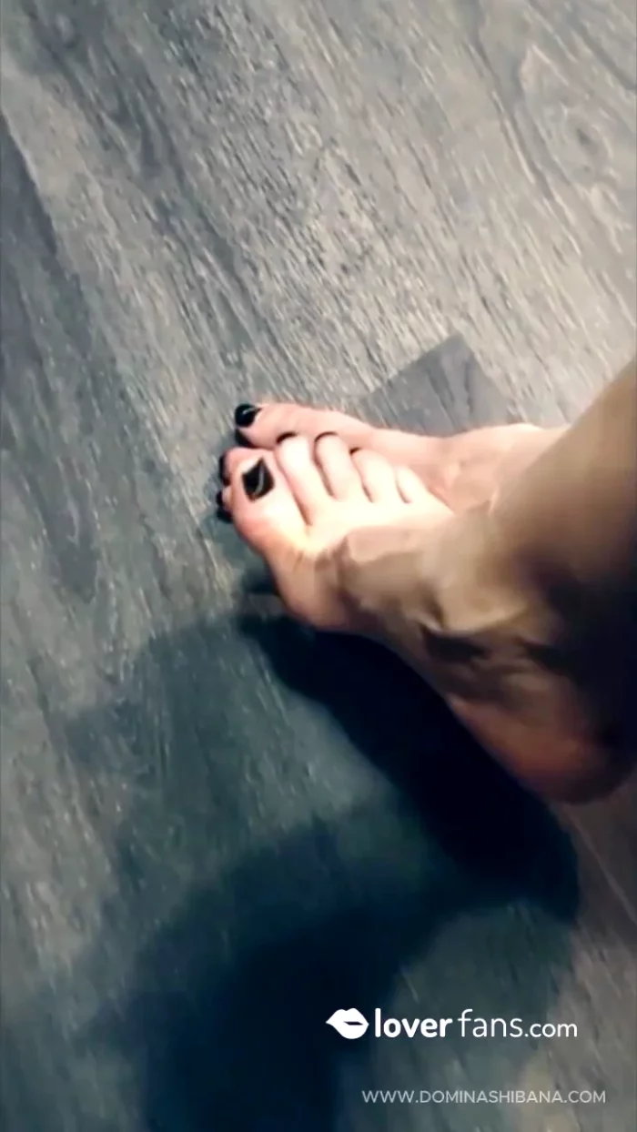 Your Mistress's Feet - DOMINA SHIBANA - MP4