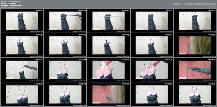 Bastinado - DOMINA SRENI MISTRESS - MP4