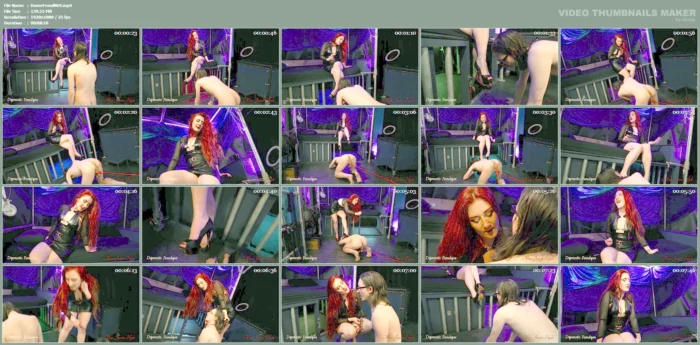 Predicament Worshipping My Feet Hurts Your Balls - DOMESTIC FEMDOM / EYEMBLACKSHEEP - MP4