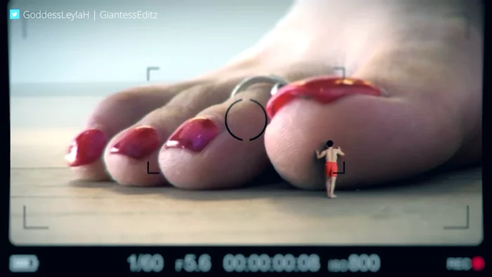 Giantess Trapped & Tamed - Worshipping Giantess Leyla Hardy's Feet - GODDESS LEYLA HARDY - MP4