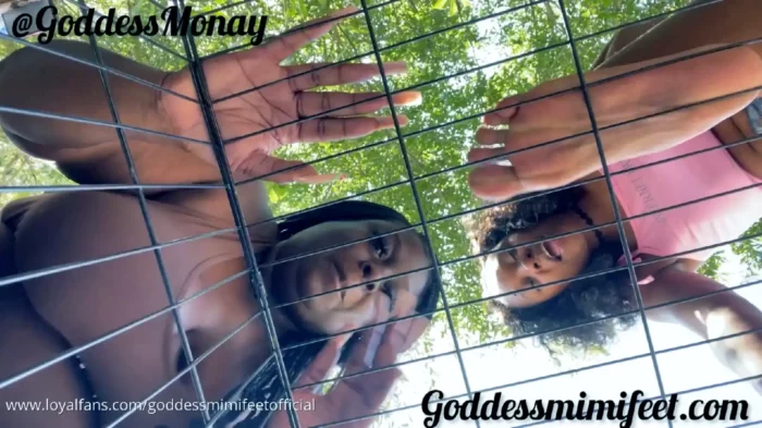 Caged Pet Humiliation - GODDESS MIMI FEET - MP4