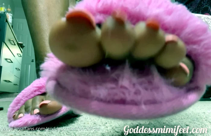 Slipper Bitch JOI - GODDESS MIMI FEET - MP4