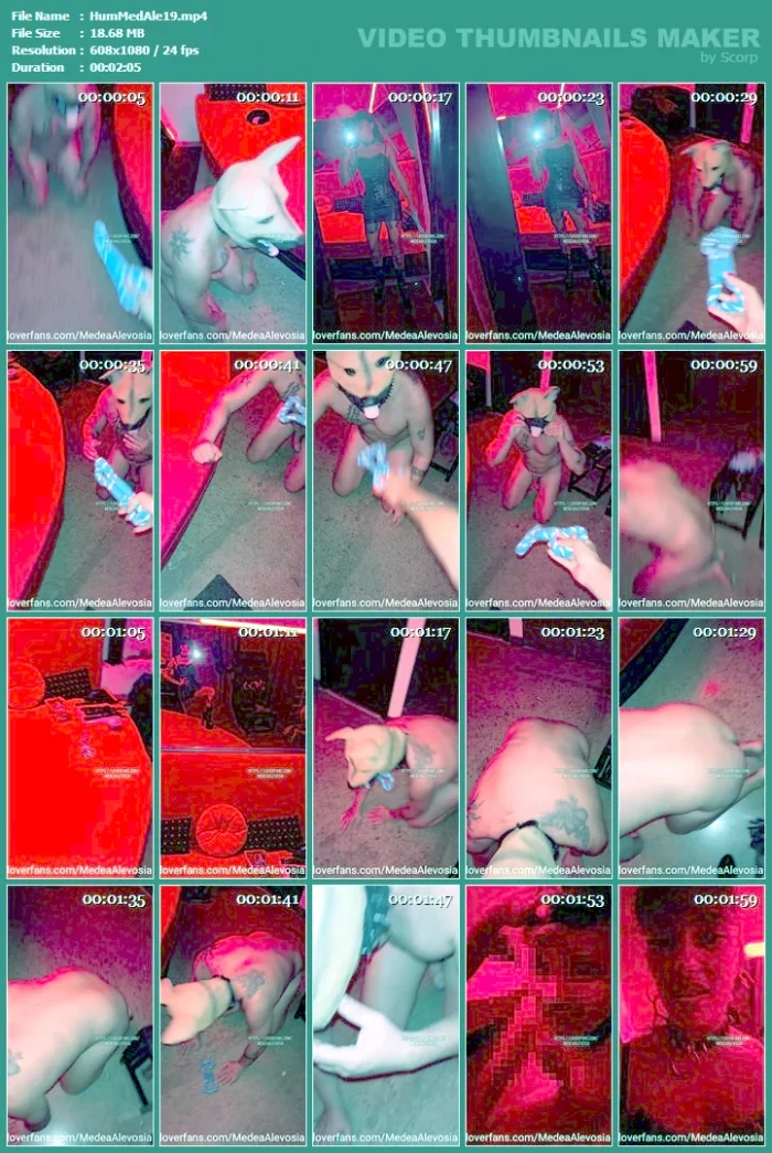 Taking Advantage Of The Dumb Dog Of The Pack - HUMILLATRIX MEDEA / MISTRESS MEDEA ALEVOSIA - MP4