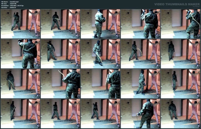 Asp Beating And Pnuching 2 - INMATE FETLIFE - MP4
