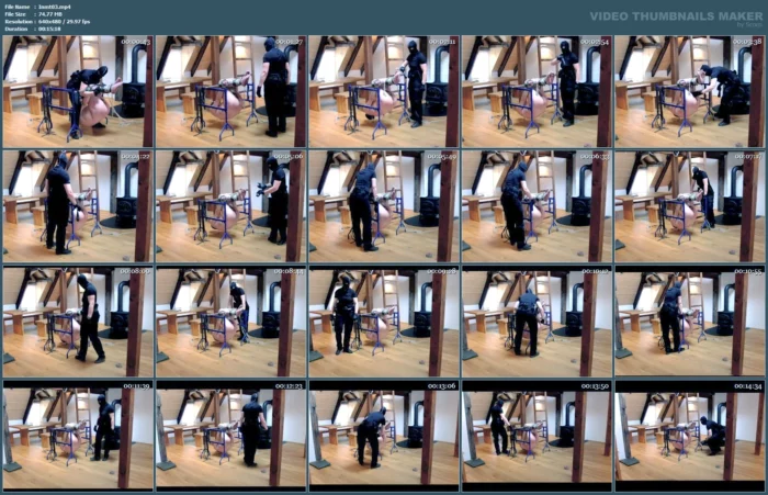 Ball Beating In The Parrot Swing - INMATE FETLIFE - MP4