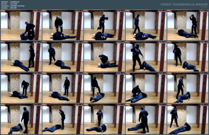 Golden Moments - INMATE FETLIFE - MP4