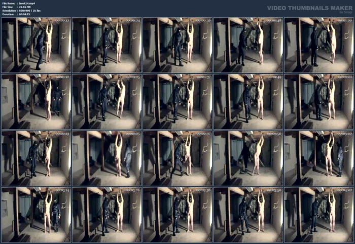 Punch Bag - INMATE FETLIFE - MP4