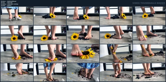I Liked Doing This! - KATHRYNNE FEET GODDESS / MISS KATRIN - MP4