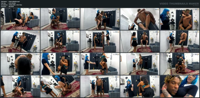 The Domesticated Horse - LIFT CARRY IN BRAZIL / NEX MFX - MP4