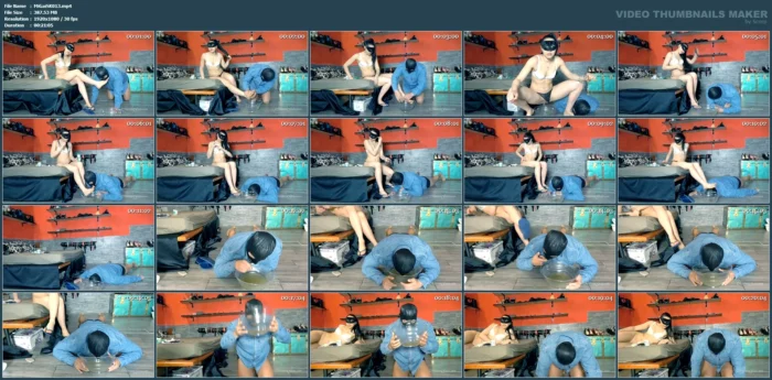 Appetizing Obedience Test - MISTRESS GAIA SCAT - MP4