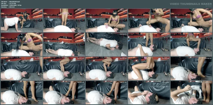 Last Meal - MISTRESS GAIA SCAT - MP4