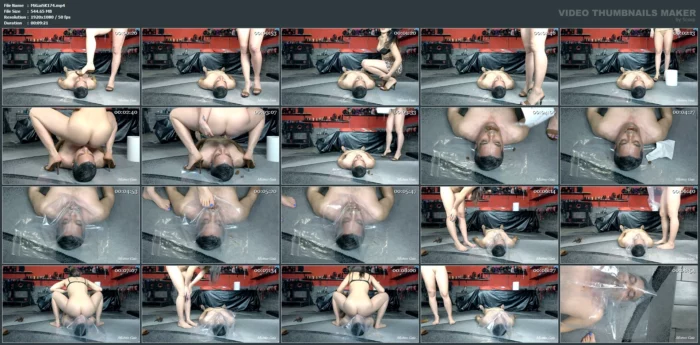 Shit Face - MISTRESS GAIA SCAT - MP4