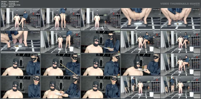 Slave's Food - MISTRESS GAIA SCAT - MP4