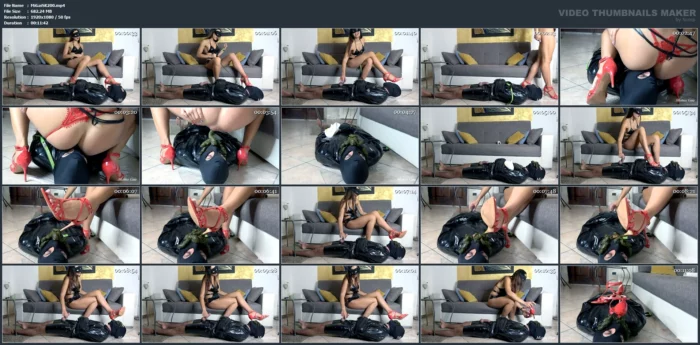 Suck My Heel And Cum - MISTRESS GAIA SCAT - MP4