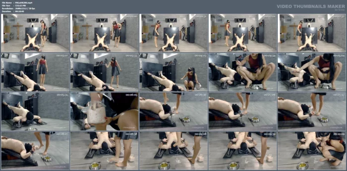 Thirsty For My Pee - MISTRESS GAIA SCAT - MP4
