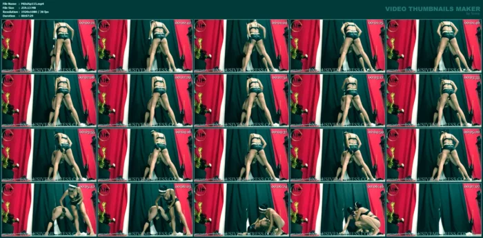 Fucked, Cumshot And Swallowed - MISTRESS ISIS SPAIN / EXCLUSIVE MISTRESS - MP4