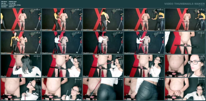 New CBT Furniture - MISS LITH SCAT - MP4
