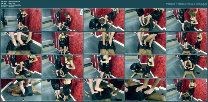 The Cock Trample - MISS SARAH JESSICA - MP4
